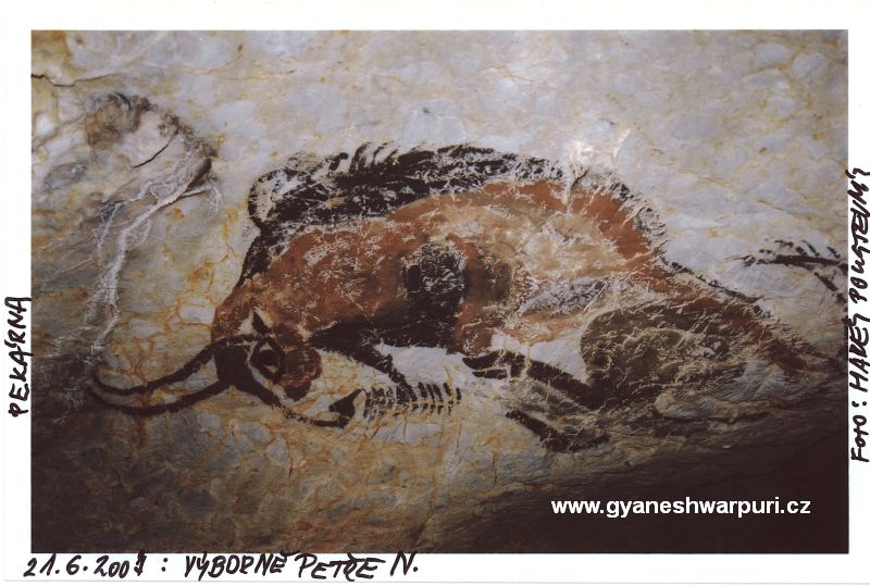 Pseudomagdaleninsk malba bizona v Pekrn. Namaloval speleolog Petr Niemec.